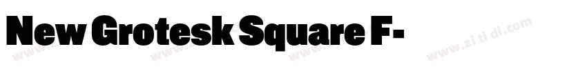 New Grotesk Square F字体转换 New Grotesk Square F字体转换